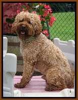 Parson sit on castle