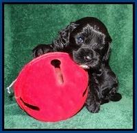 Gonzales family: Jett
