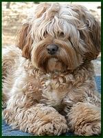 Jolie 14 mos old 004