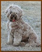 Jolie 2 years old 22