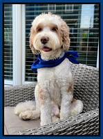 Dansby 4 yo sit porch