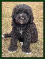 Kenzie Dansby 6 week old 211