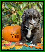 Kenzie Dansby 4 week old 291