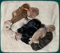 newborn group 1