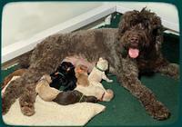 newborn group 2