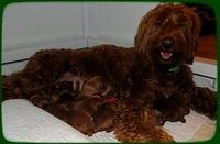 KT group with mom day 2