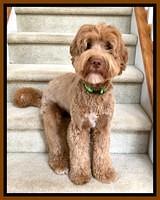 Laynie sit on stairs