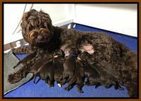 1 week old group 2