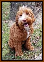 tucker smile 1