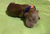 6F7E6AF3-B2A6-435A-9940-6A2D8ED7F52C