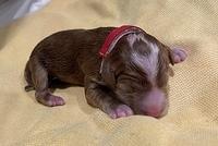 359BA368-8967-43CB-98EC-6454159EED8D