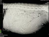 A4BC04AE-B63A-49DA-B605-3C45F8F18B61