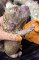 75076936682 0EB50BCA-44C9-4794-ADD3-82A52C54D8C1