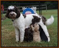 Group Photos