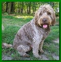 Tara Rascal 1 week to go 002