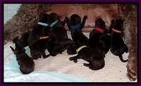 TH newborn group mom 11