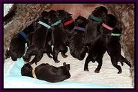 TH newborn group mom 41