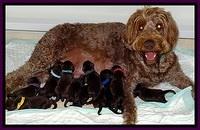 TH newborn group mom 51