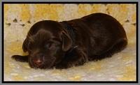 TH newborn individual 221