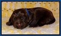 TH newborn individual 61