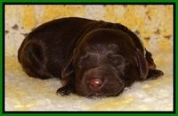 TH newborn individual 271