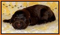 TH newborn individual 181