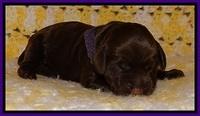 TH newborn individual 71