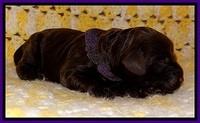 TH newborn individual 81