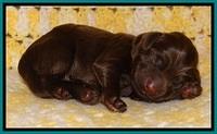 TH newborn individual 331