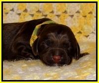TH newborn individual 261