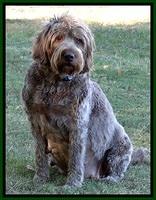 Tara day 54 preg 4 3