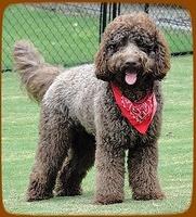 Hudson stand 2 years old