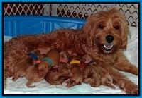 TB newborn group 11