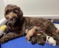 E1FF37C6-0E7B-4E95-B5A2-DBAA24C3772D