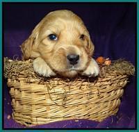 teal 3 wks (10)