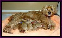 Tia Gus newborn group 2