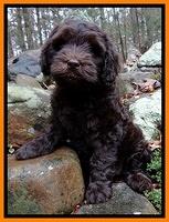 Hulsey family: Mallard "Mally"