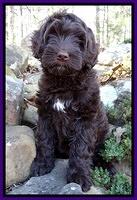 Glover family: Sadie