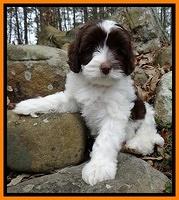 White family: Sophie Mae
