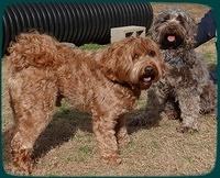 Maizie honeymmon 008