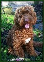 Ruler 9 mos old sit