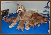 Group Photos