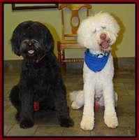 Bess Zphyr honeymoon