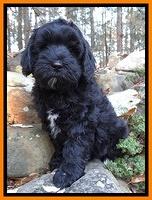 Hager family: Barnaby