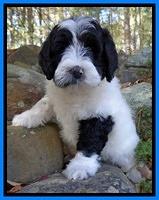 Abney family: Billy Ray