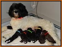 Paris Deacon Newborn group 81