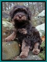 Dean family: Lottie
