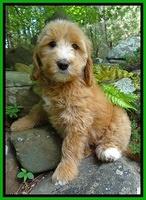 Gummels family: Emma