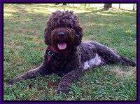 Darling day 61 preg 3