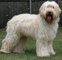 Gus Ocean State stand